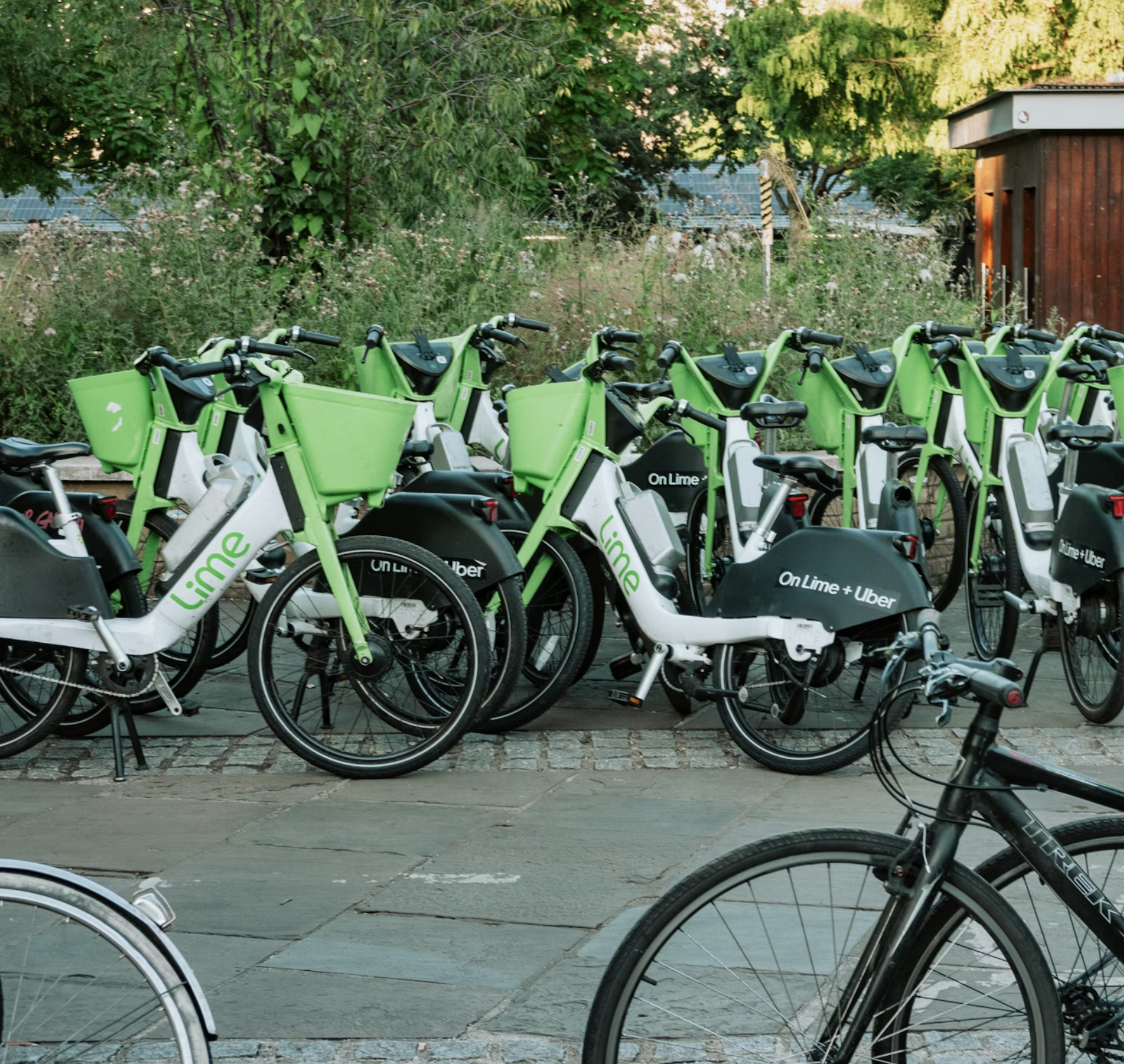 Parked Lime Bikes