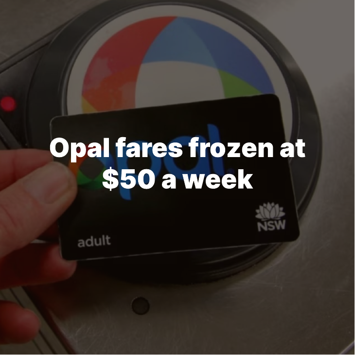 Opal fares frozen at $50 a week